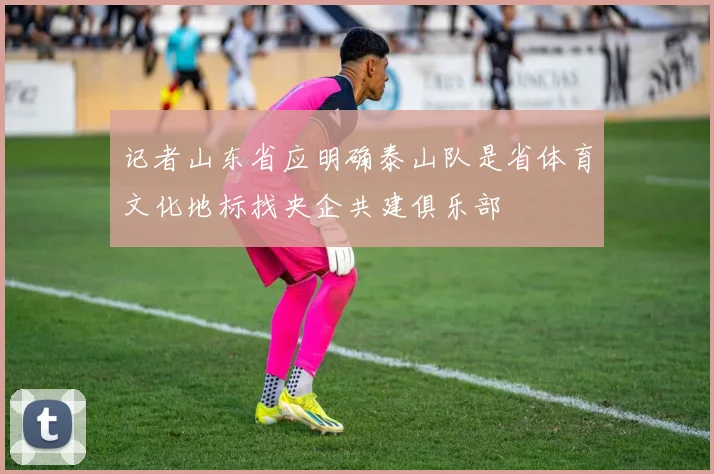 记者山东省应明确泰山队是省体育文化地标找央企共建俱乐部