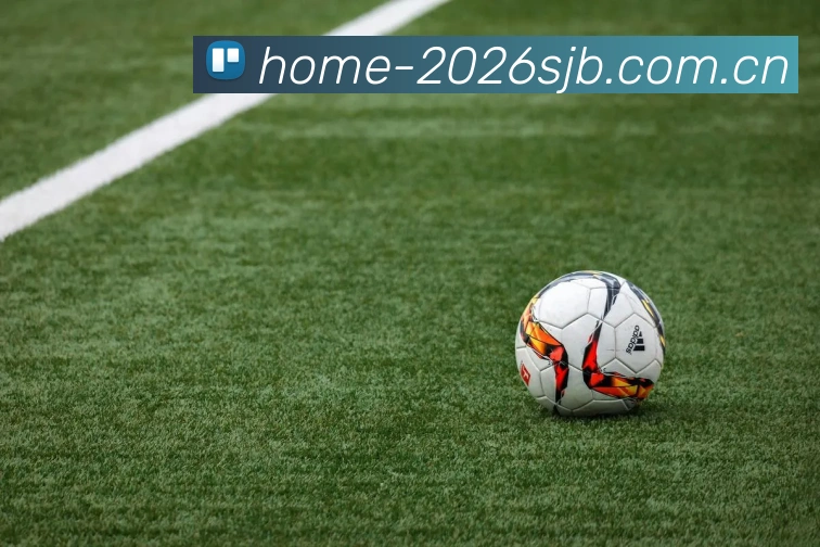 世界杯彩票 应用界面